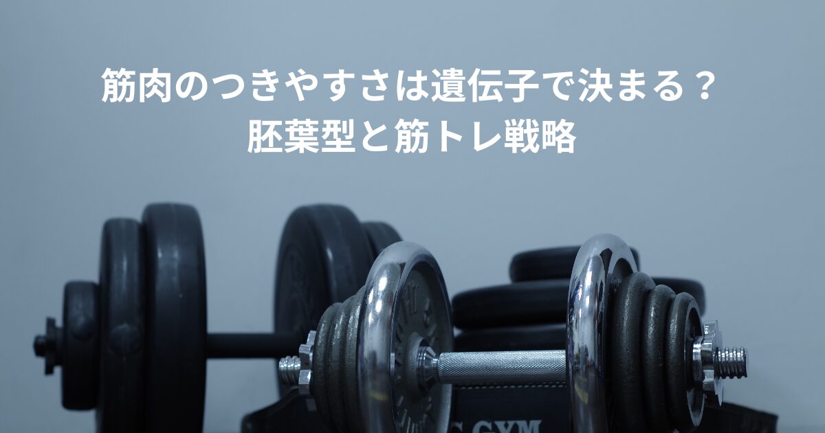 筋肉 体質タイトル