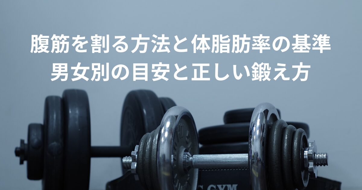 腹筋を割る方法と体脂肪率の基準｜男女別の目安と正しい鍛え方