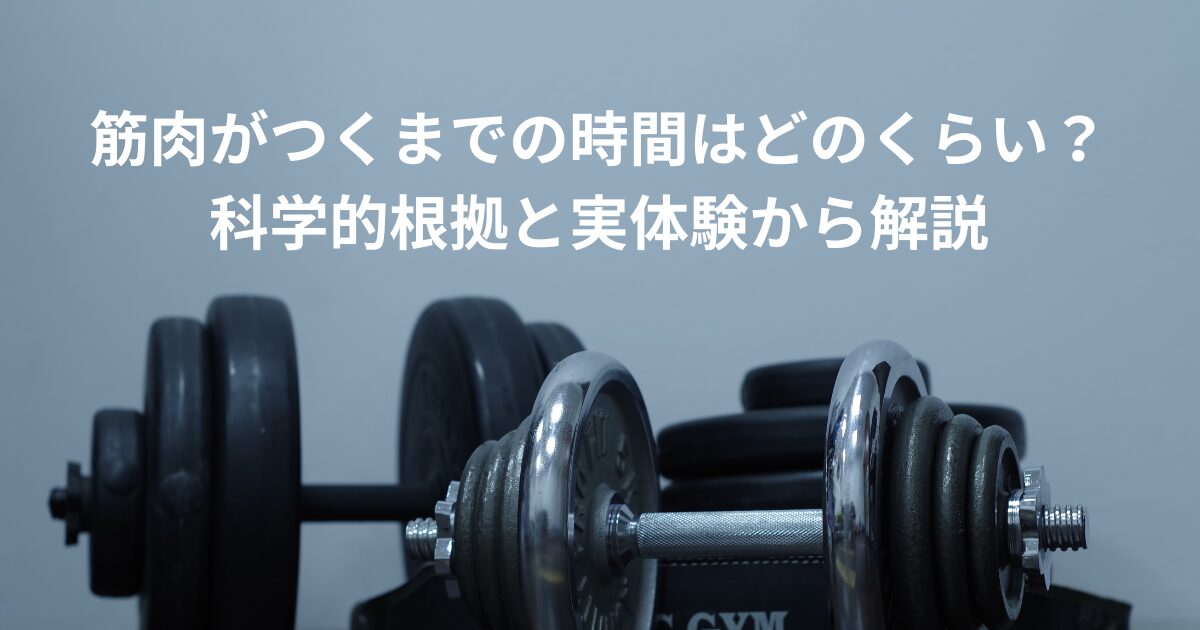 筋肉 つくまで 時間