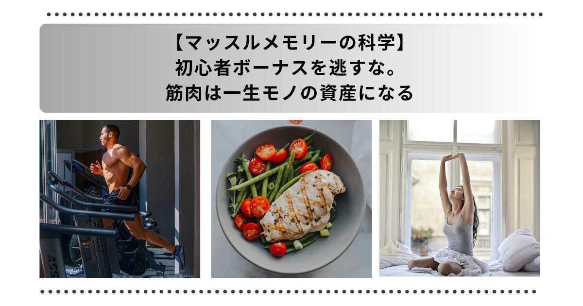 マッスルメモリー 筋トレタイトル