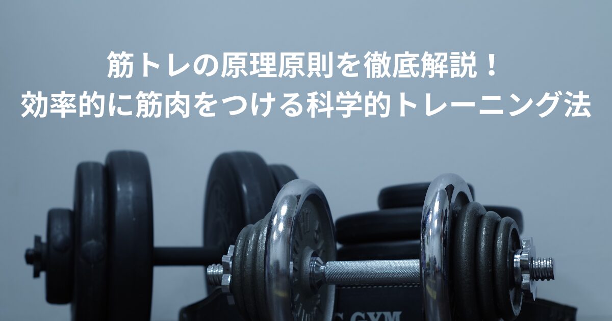 筋トレ 原理 原則タイトル